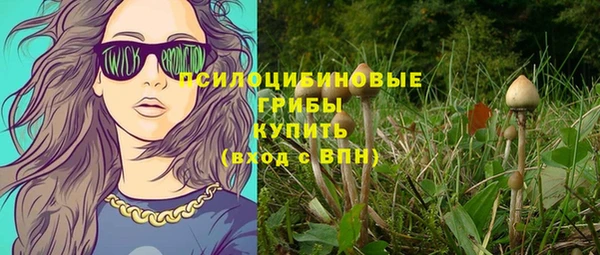 гашик Волоколамск