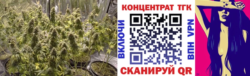 ТГК THC oil  Купить закладки  Новокубанск 